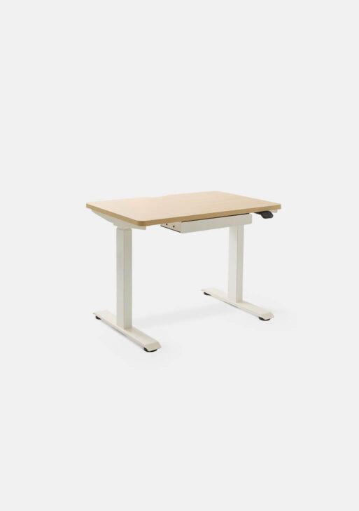 Mini Standing Desk